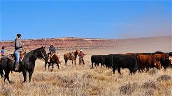 ranchers