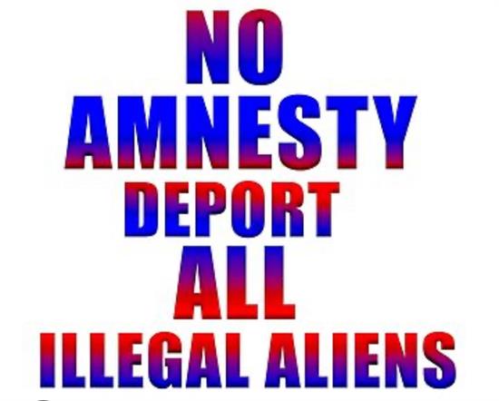 no amnesty