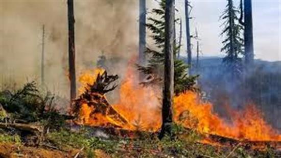 Jones Fire