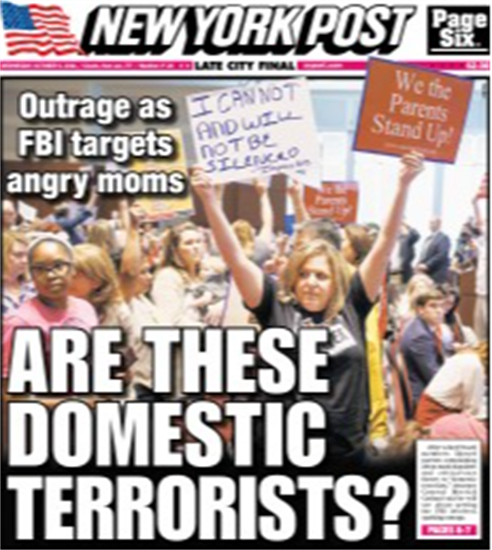 Domestic Terrorists