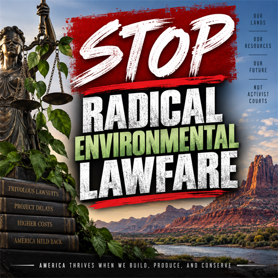 Lawfare