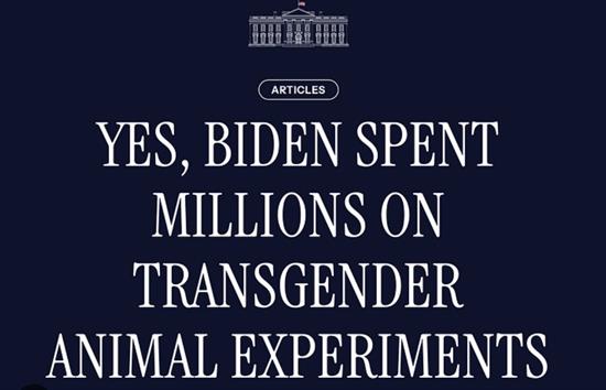 Animal Experiments